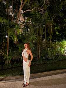 IMG 4610