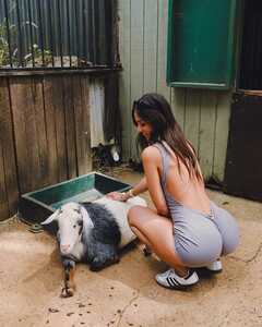 IMG 4286