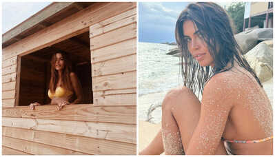 michelle vs sofia