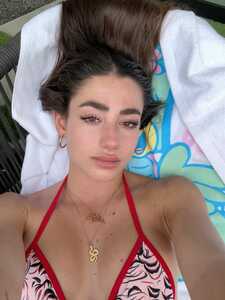 IMG 3531